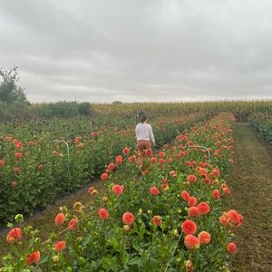 Meet your Posher, Sadie